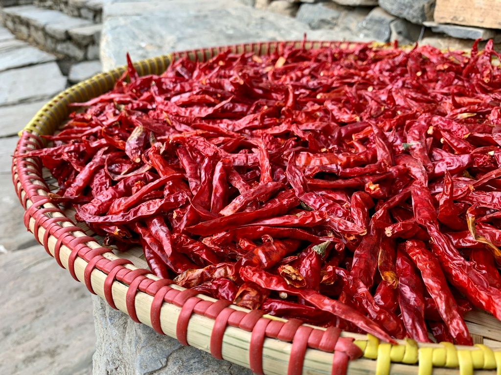 Red Chilli